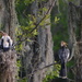 Anhinga and chicks, Audubon Swamp Garden, Charleston, SC by congaree