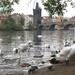Charles Bridge in Prague by whiteswan