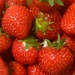 Strawberries by tiss