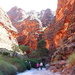 Day 13 - Hike into Cathedral Gorge 6 by terryliv