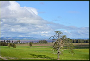 1st Jun 2015 - Looking across to Lake Waikare