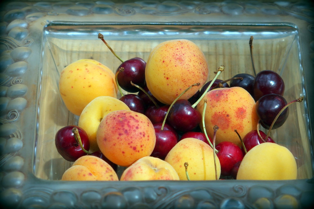 Apricots and cherries by laroque