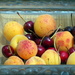 Apricots and cherries by laroque