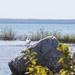 Mackinac island shoreline by amyk