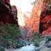 Day 13 - Hike into Cathedral Gorge 7 by terryliv