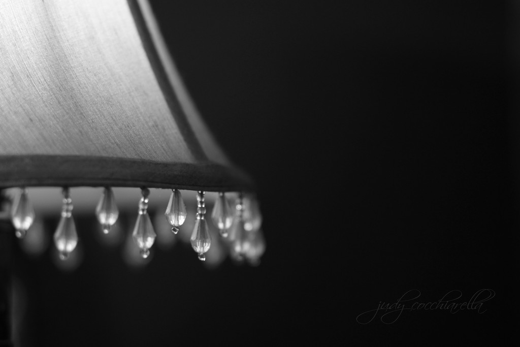 Lamp fringe by judyc57