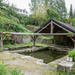 A Year of Days: Day 153 - Lavoir by vignouse