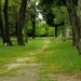 Western Cemetery by dianen