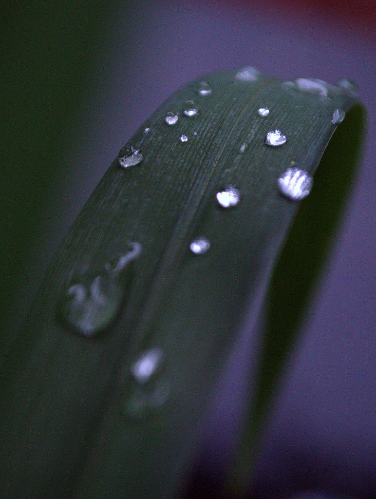 Rain Medititation by kevin365