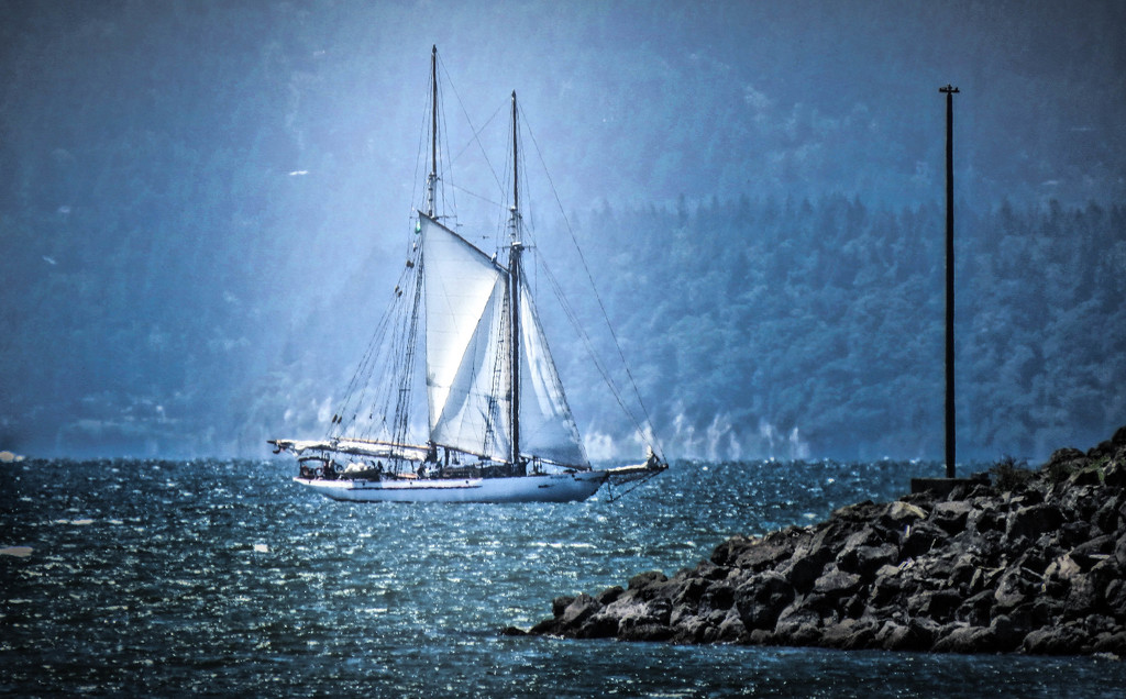 ~Sailing~ by crowfan