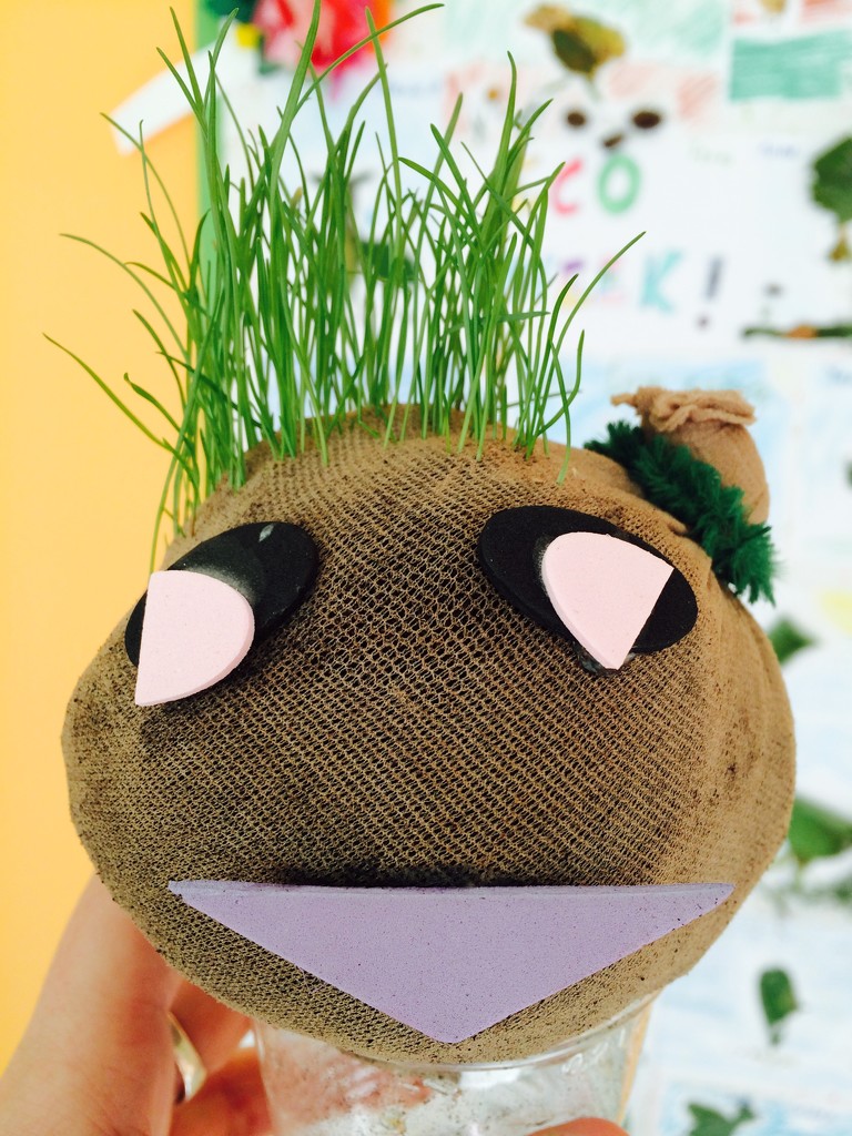 Grass Heads Growing by sarahabrahamse