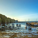 Morning harbour light by frequentframes