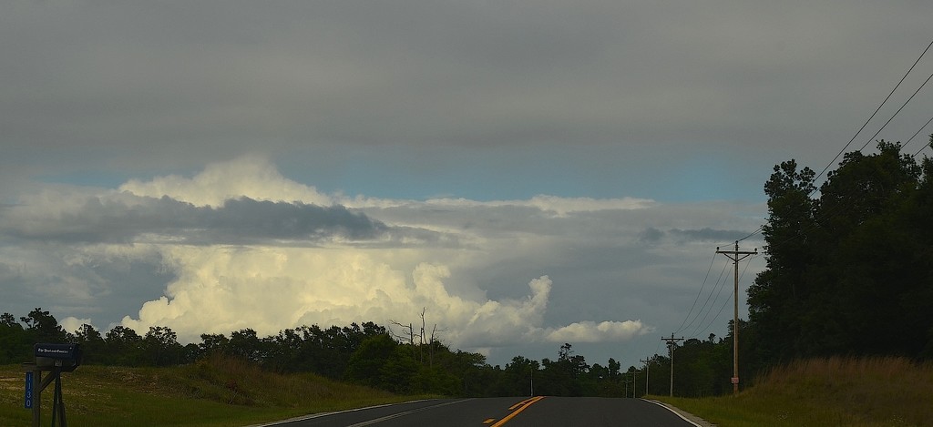 Country road and great summer-like clouds on a backroads drive in Dorchester County, SC by congaree