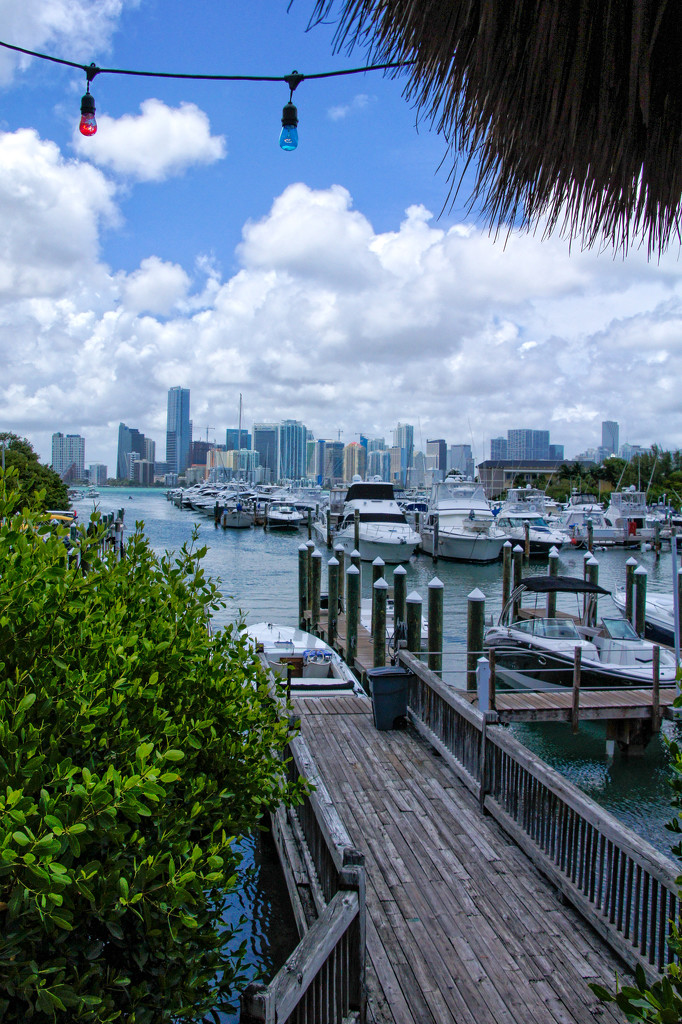 Quintessenstial Miami by danette