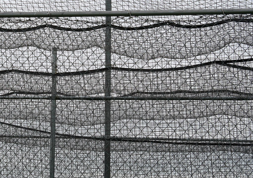 Batting cage in B&W....maybe not by mittens