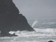 1st Jun 2015 - Whale's Head