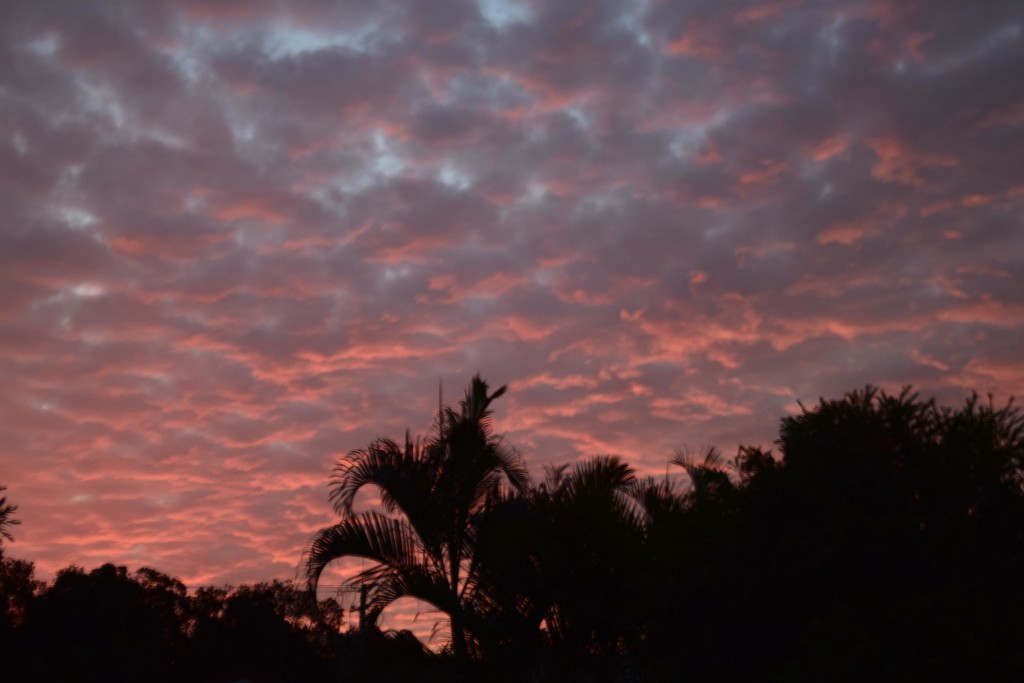 Last nights winter sky. by happysnaps