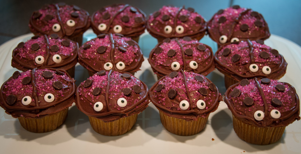 Ladybug Cupcakes  by epcello