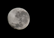 4th Jun 2015 - The Moon