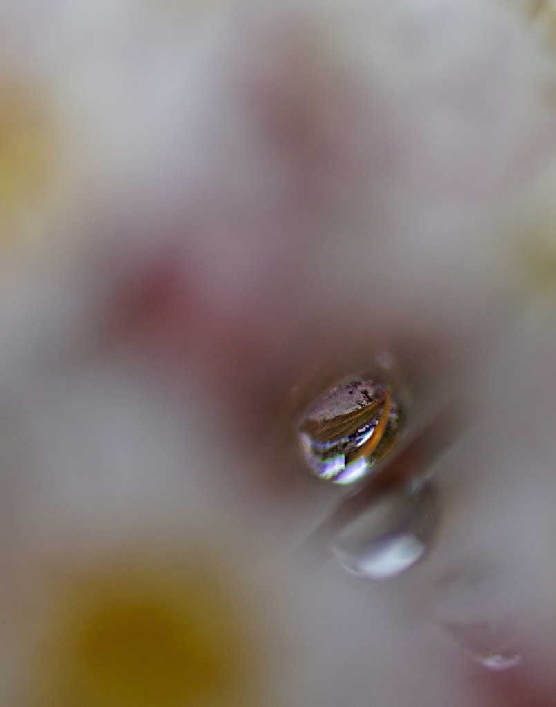 Droplet by tosee
