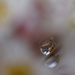 Droplet by tosee
