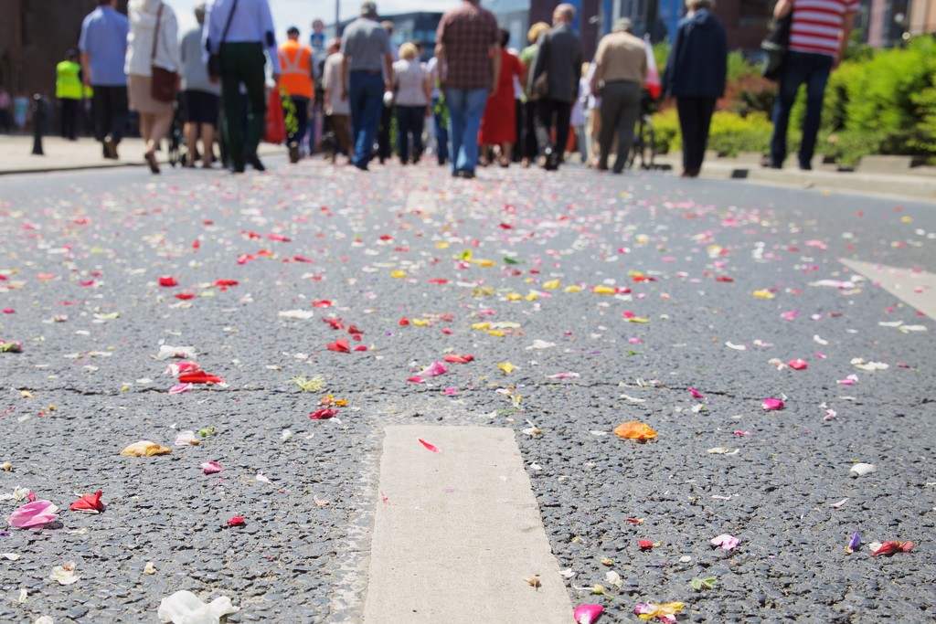 Corpus Christi Parade Route: covered in flowers by jyokota