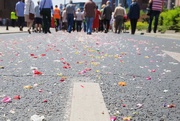 4th Jun 2015 - Corpus Christi Parade Route: covered in flowers