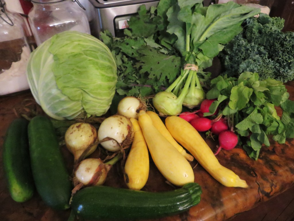 our CSA box this week by margonaut