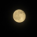 Full Moon by randy23