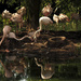Flamingos by bizziebeeme