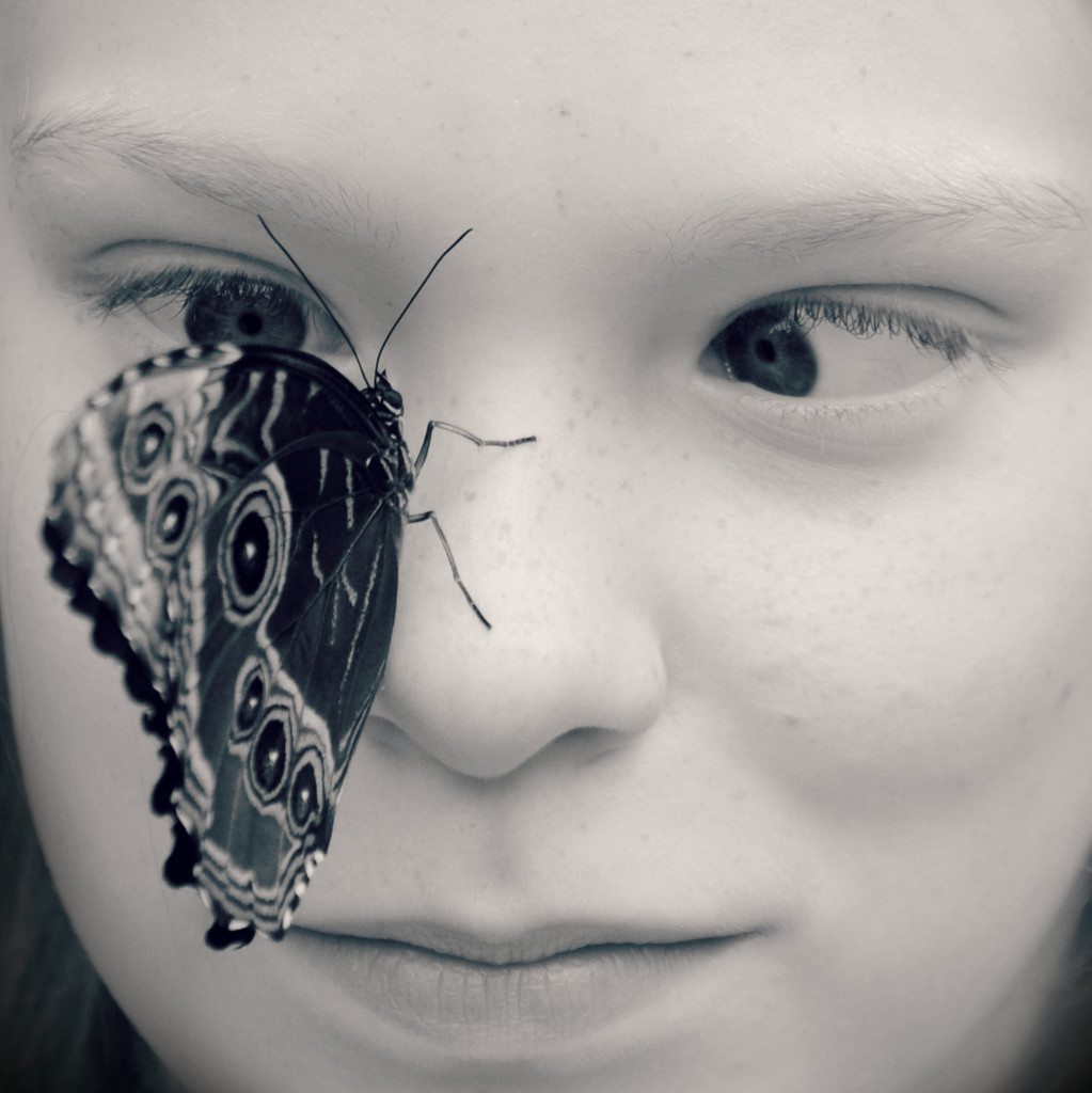 Seeing Eye to Eye with Butterfly by alophoto