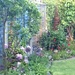 Garden In June by cataylor41
