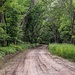 Follow the Dirt Road by lynne5477