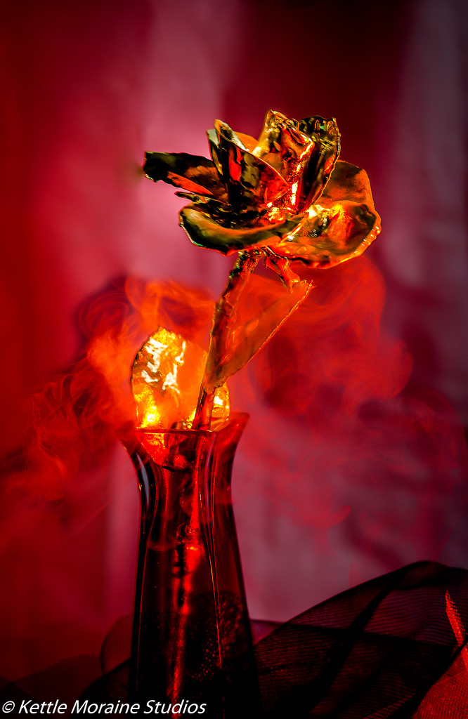 Mysterious Rose - Get Pushed Still Life by myhrhelper
