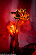 6th Jun 2015 - Mysterious Rose - Get Pushed Still Life