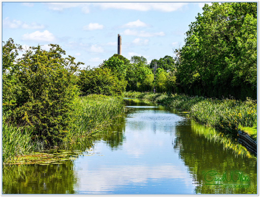 The Grand Union Canal, Upton,Northampton by carolmw