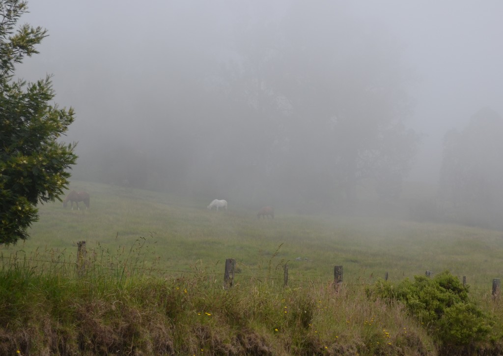 Day 325 - Life in the Clouds by ravenshoe