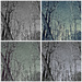 Four shades of mono  by soboy5