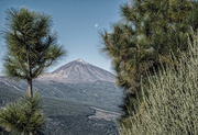 5th Jun 2015 - 152 - Mount Teide