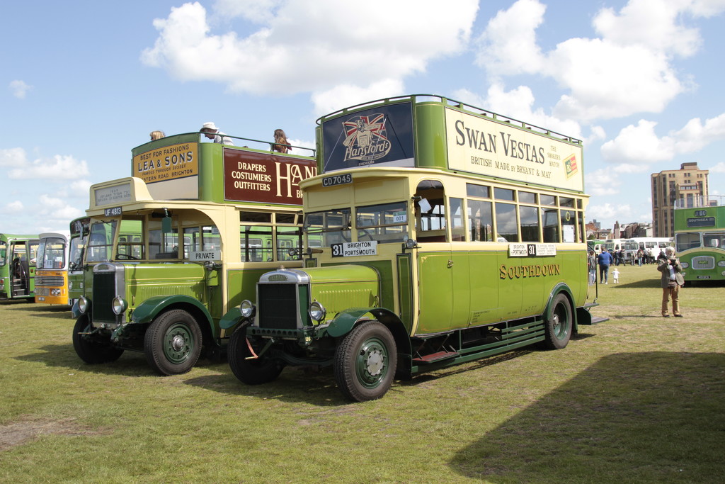 Old Buses in the Sun by davemockford