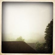 7th Jun 2015 - The Morning Fog