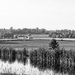 Black And White Country by digitalrn