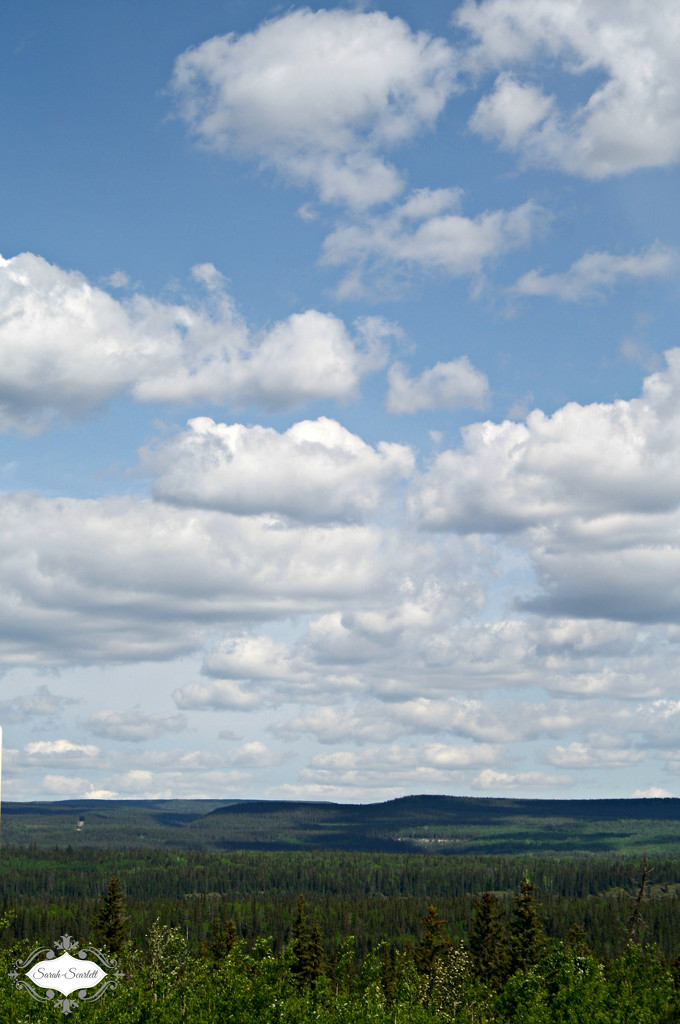 Big Sky by sarahlh