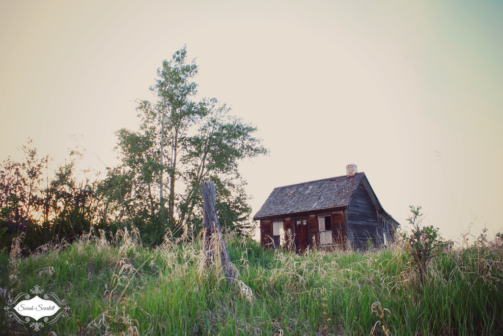 Old Homestead by sarahlh