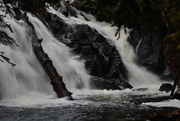 6th Jun 2015 - Waterfall - Algonquin Park #4