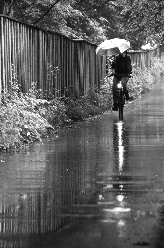 More rain.... (Runner-ups album)  by vera365