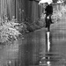 More rain.... (Runner-ups album)  by vera365