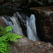 Fern & Waterfall - Algonquin #5 by jayberg