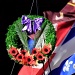 Remembrance Day 2010 by dora