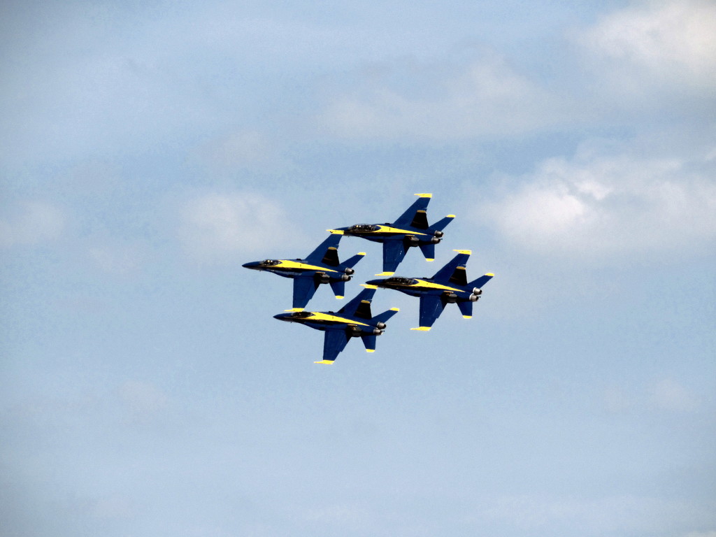 Blue Angels by randy23